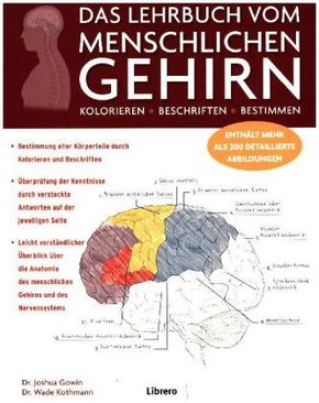 Das Lehrbuch vom menschlichen Gehirn