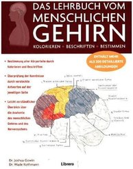 Das Lehrbuch vom menschlichen Gehirn