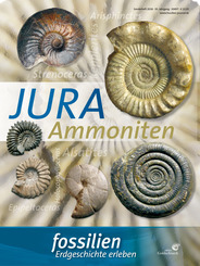 Jura-Ammoniten