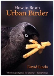 How to Be an Urban Birder