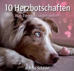 10 Herzbotschaften