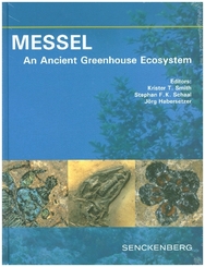 MESSEL - An Ancient Greenhouse Ecosystem