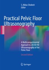 Practical Pelvic Floor Ultrasonography