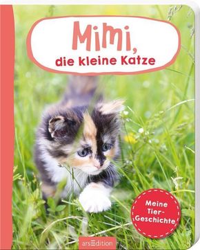 Mimi, die kleine Katze