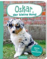 Oskar, der kleine Hund