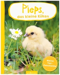 Pieps, das kleine Küken