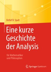 Eine kurze Geschichte der Analysis