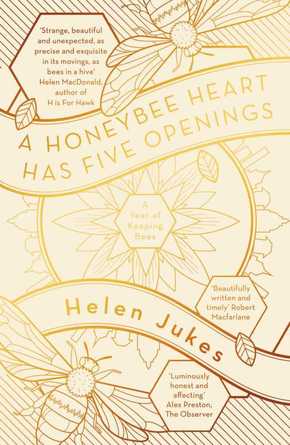 A Honeybee Heart Has Five Openings