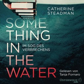 Something in the Water - Im Sog des Verbrechens, 2 Audio-CD, 2 MP3