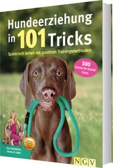 Hundeerziehung in 101 Tricks