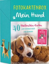 Fotokartenbox Mein Hund