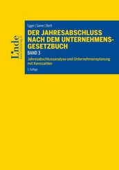 Der Jahresabschluss nach dem Unternehmensgesetzbuch (f. Österreich) - Bd.3