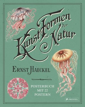 Ernst Haeckel: Kunstformen der Natur