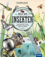 Geheimnisvolle Welt der Insekten