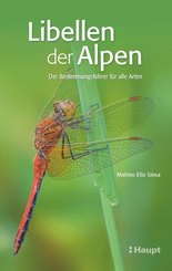 Libellen der Alpen