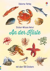 Sticker-Wissen Natur: An der Küste
