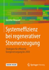 Systemeffizienz bei regenerativer Stromerzeugung, m. 1 Buch, m. 1 E-Book