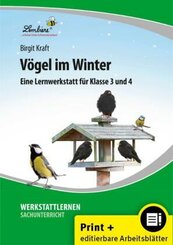 Vögel im Winter, m. 1 CD-ROM
