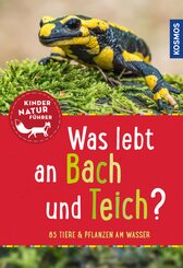Was lebt an Bach und Teich?