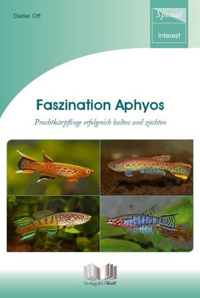 Faszination Aphyos