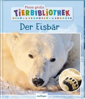 Meine große Tierbibliothek: Der Eisbär