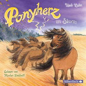 Ponyherz 14: Ponyherz im Sturm, 1 Audio-CD