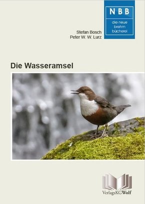 Die Wasseramsel