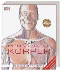 Der menschliche Körper