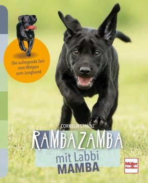 Rambazamba mit Labbi Mamba