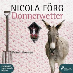 Donnerwetter, 1 Audio-CD, MP3