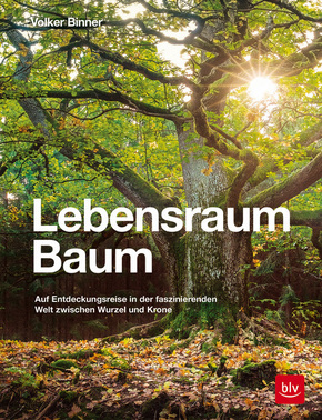 Lebensraum Baum