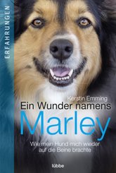 Ein Wunder namens Marley