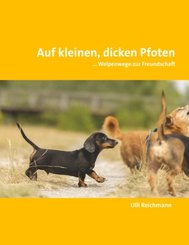 Auf kleinen, dicken Pfoten