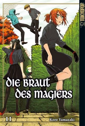 Die Braut des Magiers. Bd.11 - Bd.11