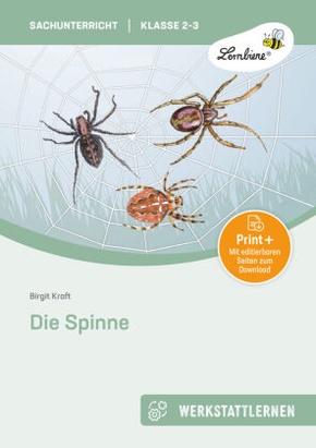 Die Spinne, m. 1 Beilage