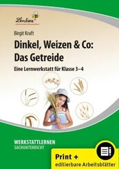 Dinkel, Weizen & Co: Das Getreide, m. 1 Beilage