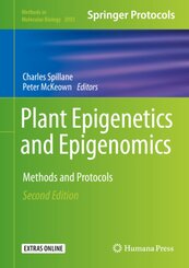 Plant Epigenetics and Epigenomics
