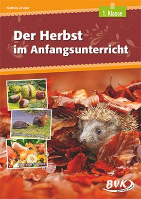 Der Herbst im Anfangsunterricht