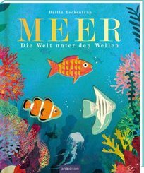 Meer