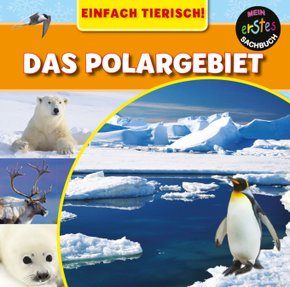 Das Polargebiet