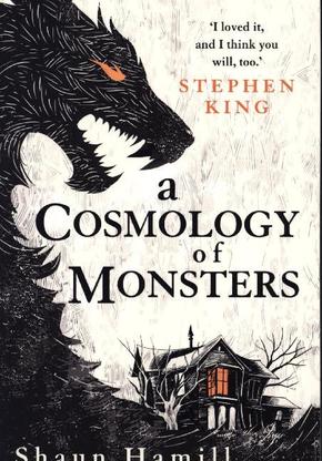 A Cosmology of Monsters