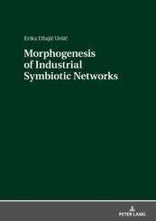 Morphogenesis of Industrial Symbiotic Networks