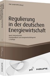 Regulierung in der deutschen Energiewirtschaft, Netzwirtschaft