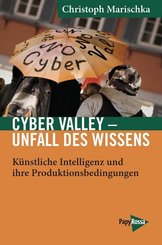 Cyber Valley - Unfall des Wissens