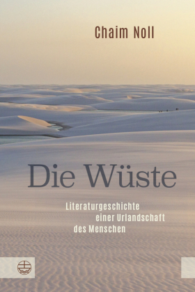 Die Wüste