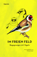 Im freien Feld