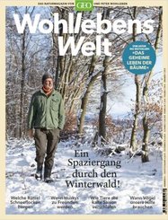 Wohllebens Welt / Wohllebens Welt 4/2019 - Ein Spaziergang durch den Winterwald