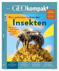 GEOkompakt: GEOkompakt / GEOkompakt 62/2020 - Das geheime Leben der Insekten