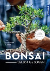 Bonsai - selbst gezogen