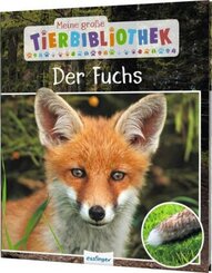 Meine große Tierbibliothek: Der Fuchs